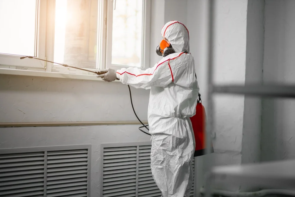 Professional mold remediation services in Millbury, OH